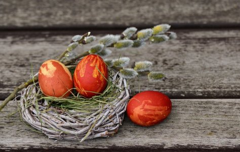 Velikonoční zvyky očima tradiční čínské medicíny