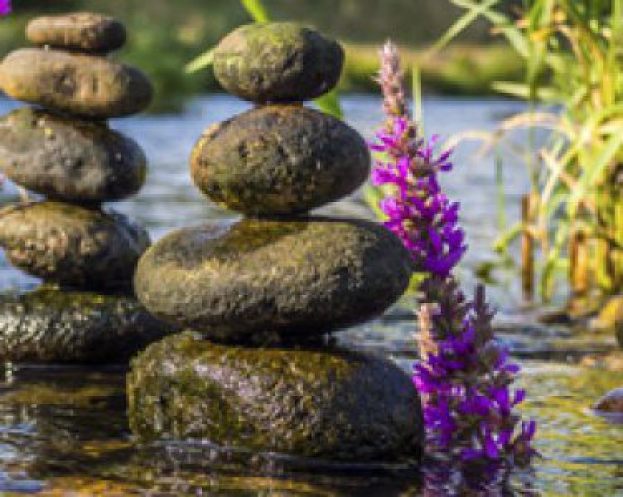 Diabetes v klinické praxi TCM